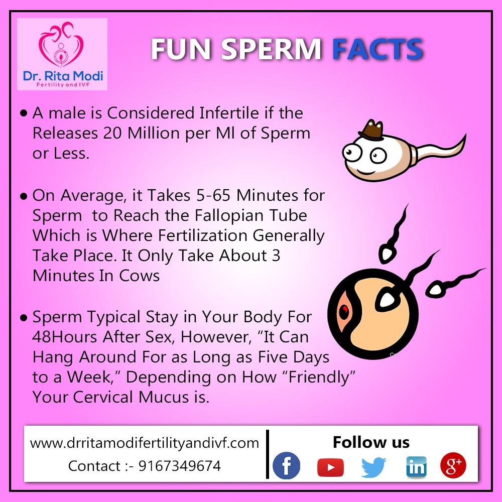 FUN SPERM FACTS A... - Dr. Rita Modi Fertility and IVF