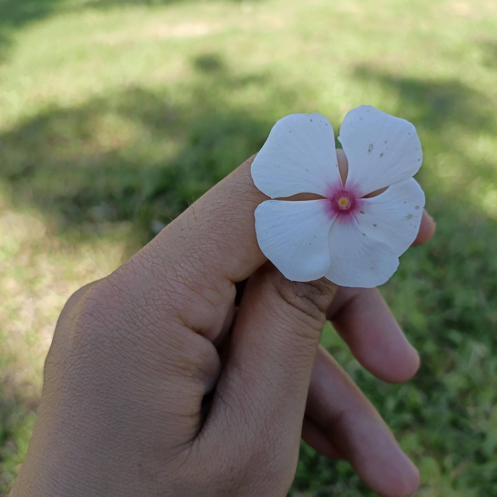 Another kadlawn session with my Inday Zekiah 🥴 Zekiah : Excuse me po sa ...