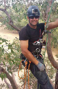 CPD Tree Services