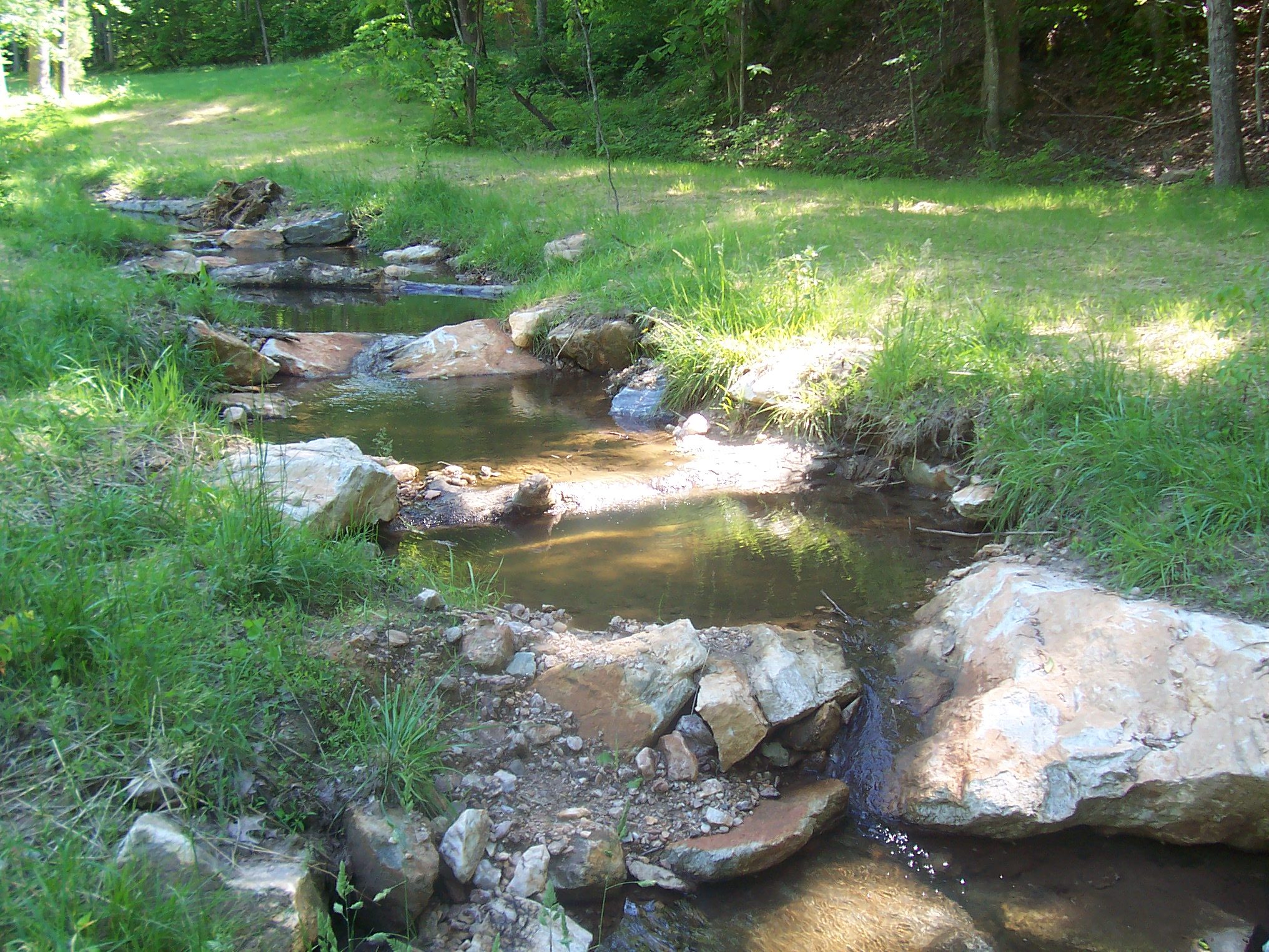 Do you have an amazing stream... - Resource Institute Inc.