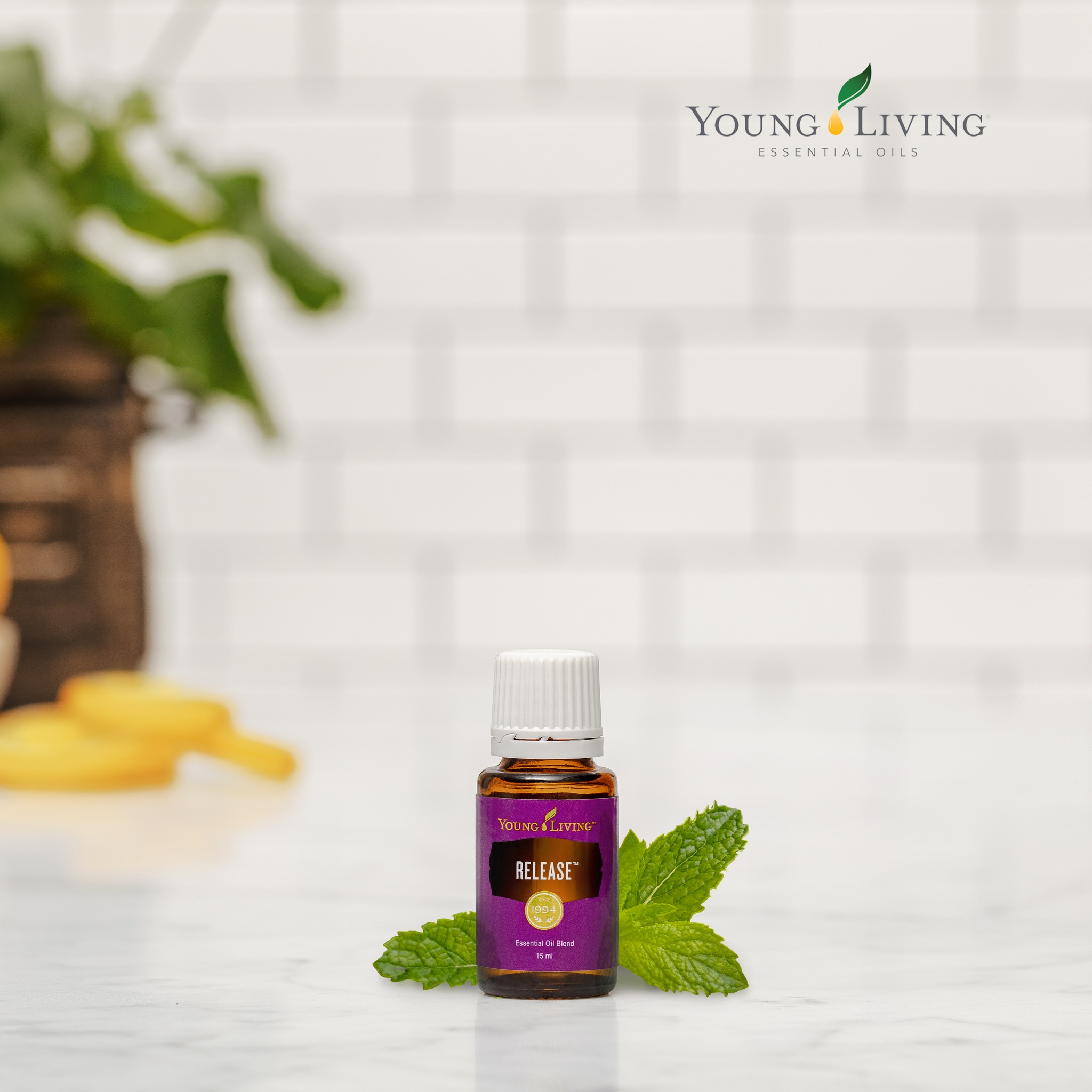 Young Living Europe Let Go With Sweet And Spicy Release Essential Oil Https Yloils Eu 2rwzh9x Facebook