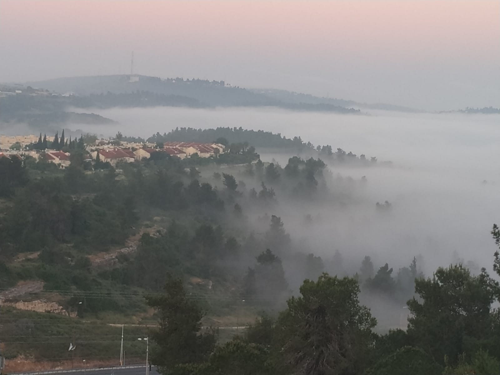תמר עוזיאל