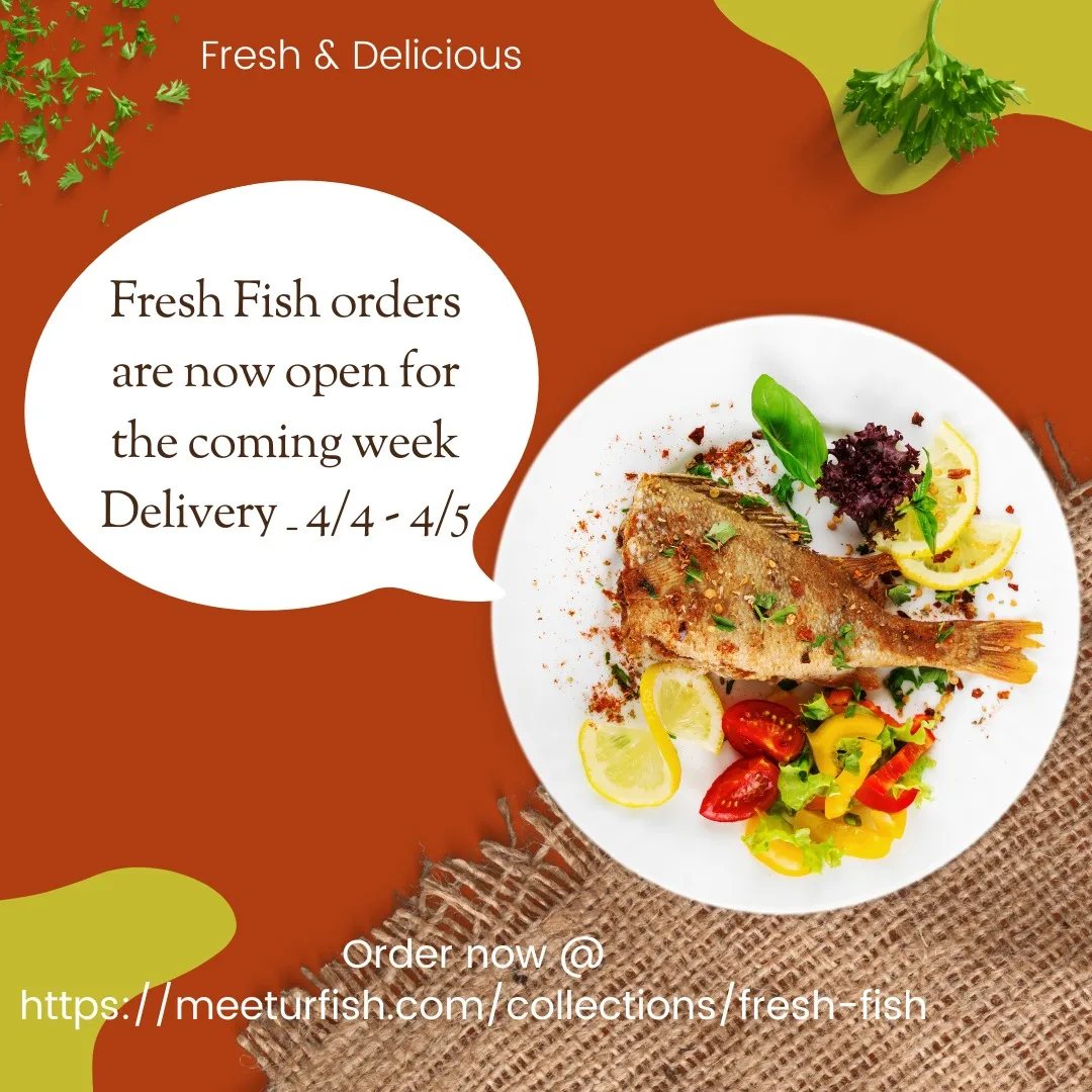 Meet UR Fish | McKinney TX