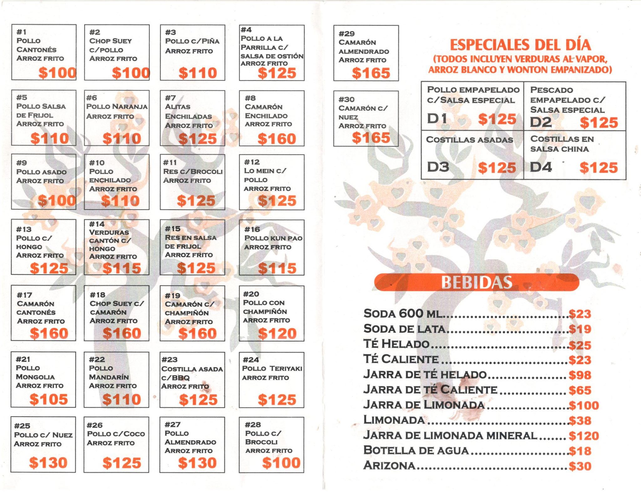 Mandarin Express | Tijuana