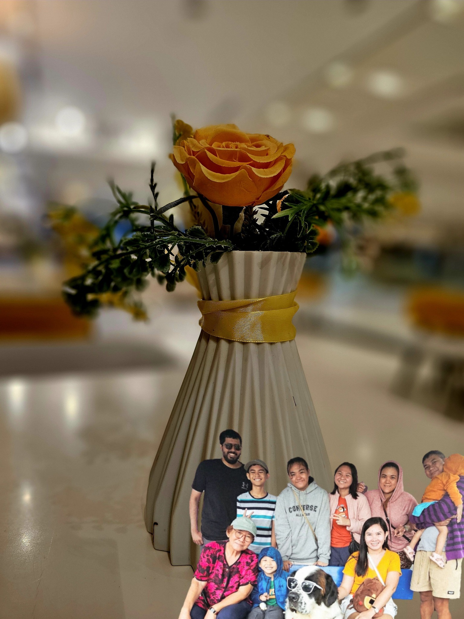 Joyce Ann Añonuevo