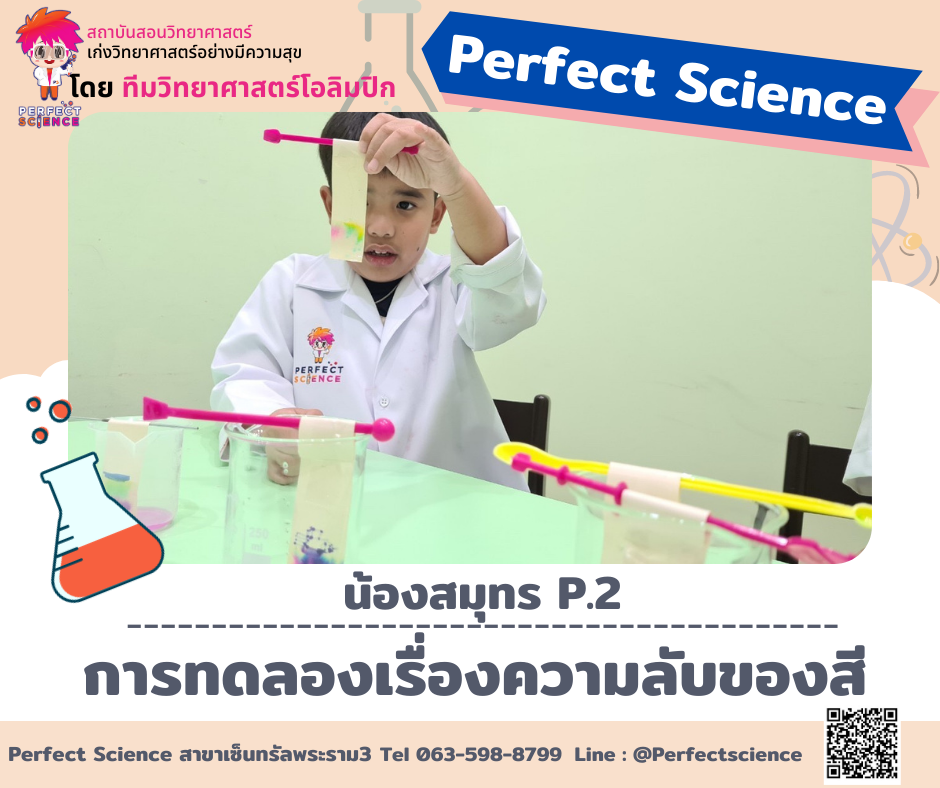 Perfect Science | Bangkok
