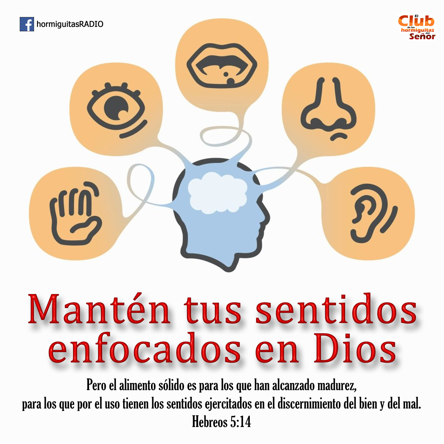 El - CUIDA TUS SENTIDOS Y DÁSELOS A DIOS Pero temo que como la ...