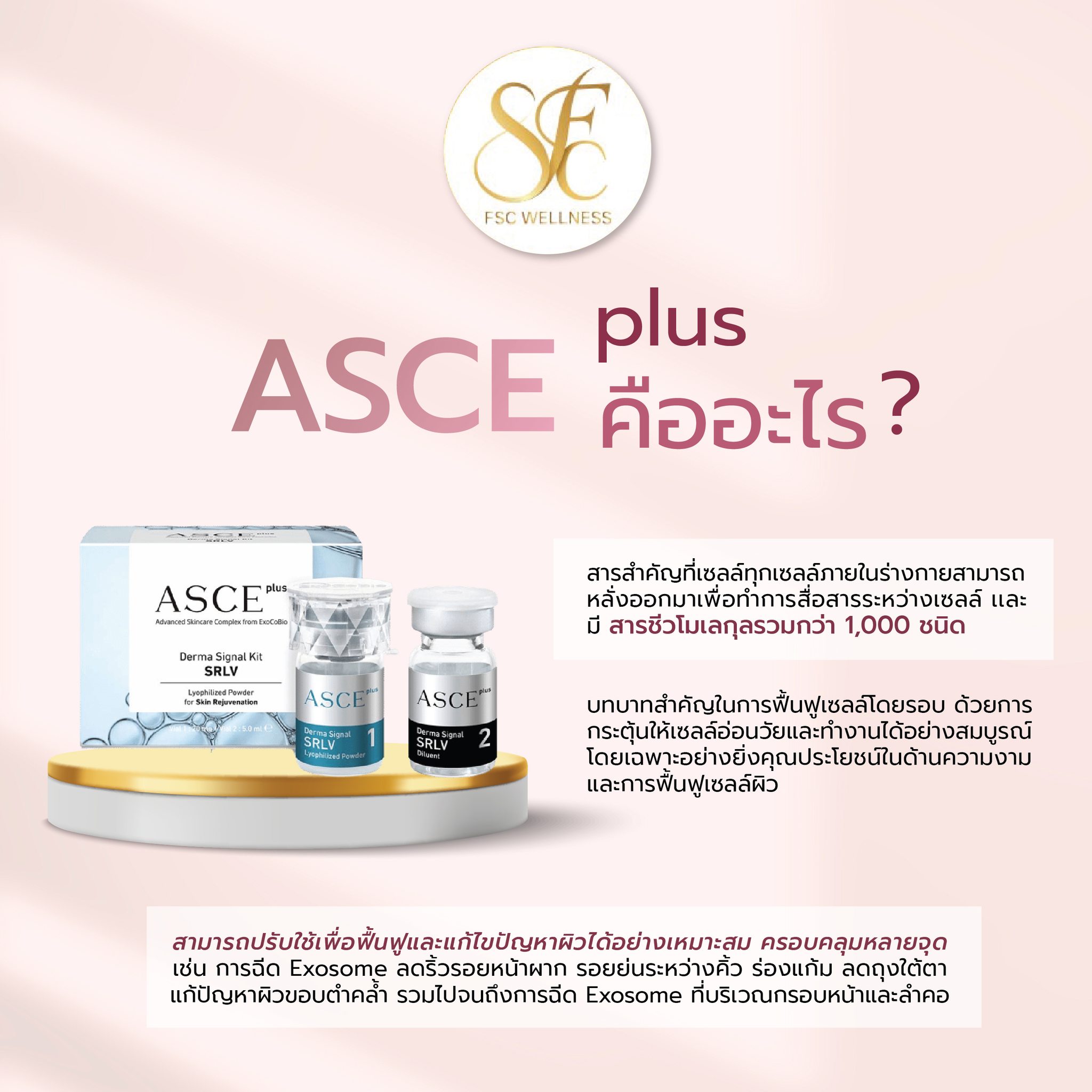 FSC - 🔅 ASCE plus คืออะไร 💓เรามาลองดูประโยชน์ของ ASCE plus กันค่ะ 💓 💚 ...