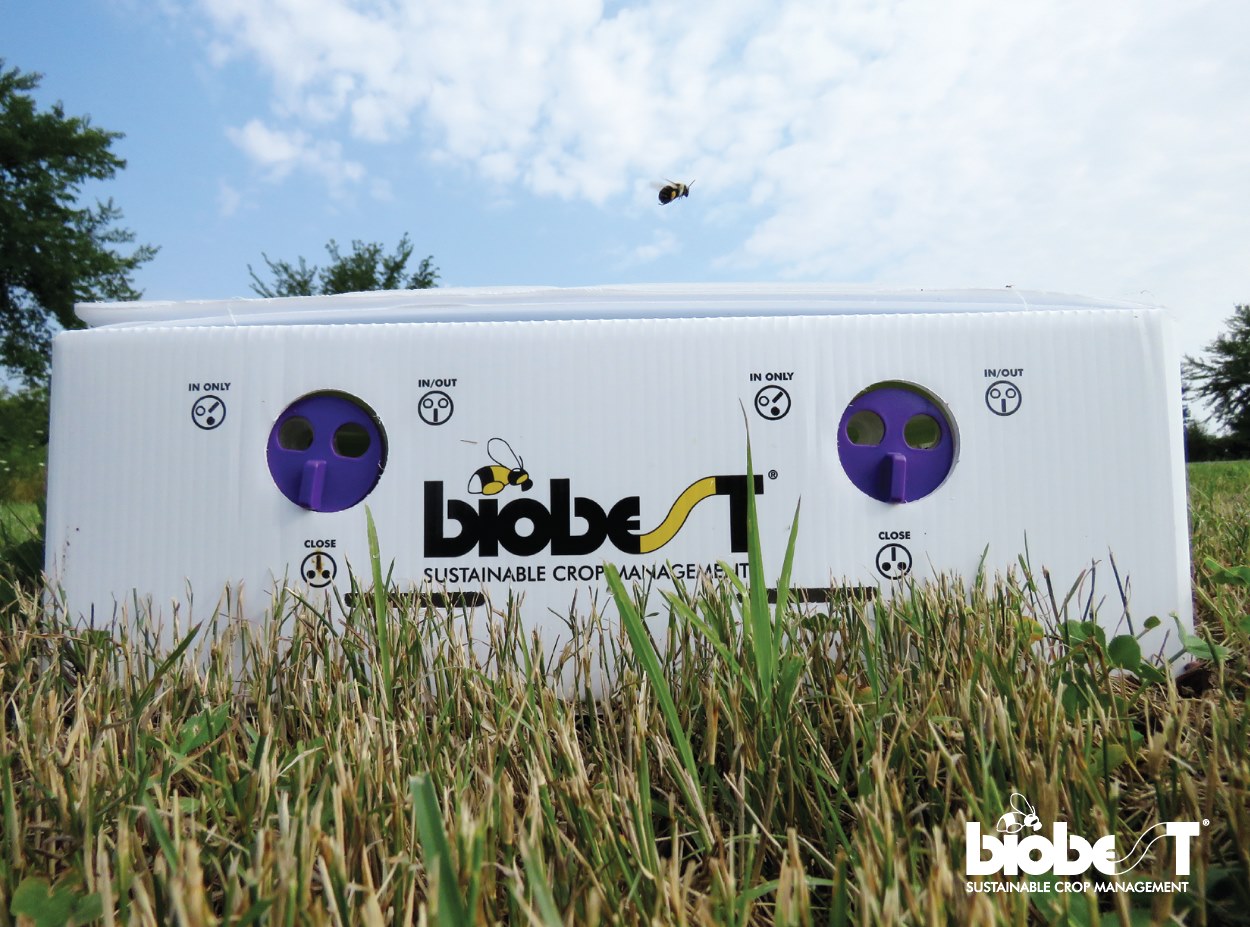 Biobest 4-Pak is a great... - Biobest North America