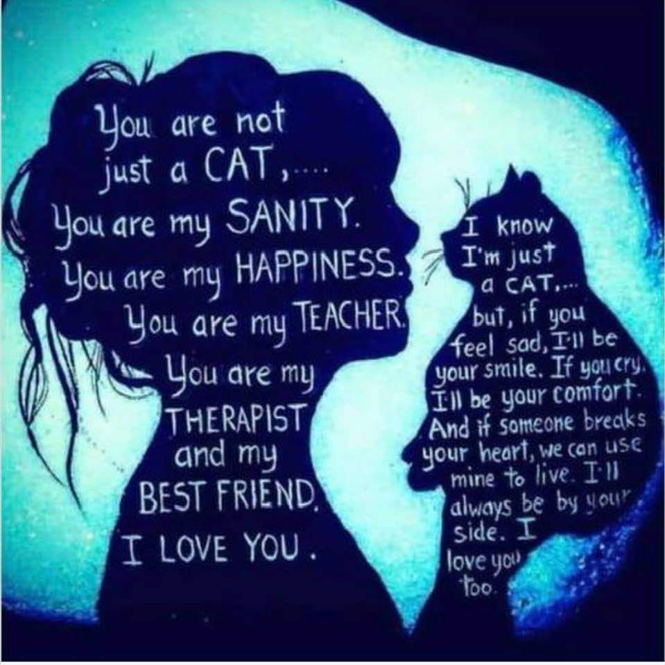Sad Best Friend Quotes That Will Make You Cry