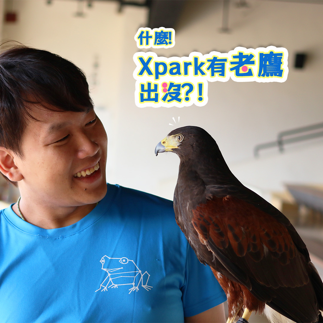 Xpark - 帥氣隱藏版角色與你同樂🦅 有曾經在與眾同樂區被栗翅鷹帥到的請舉手🙋🏻‍♀️...