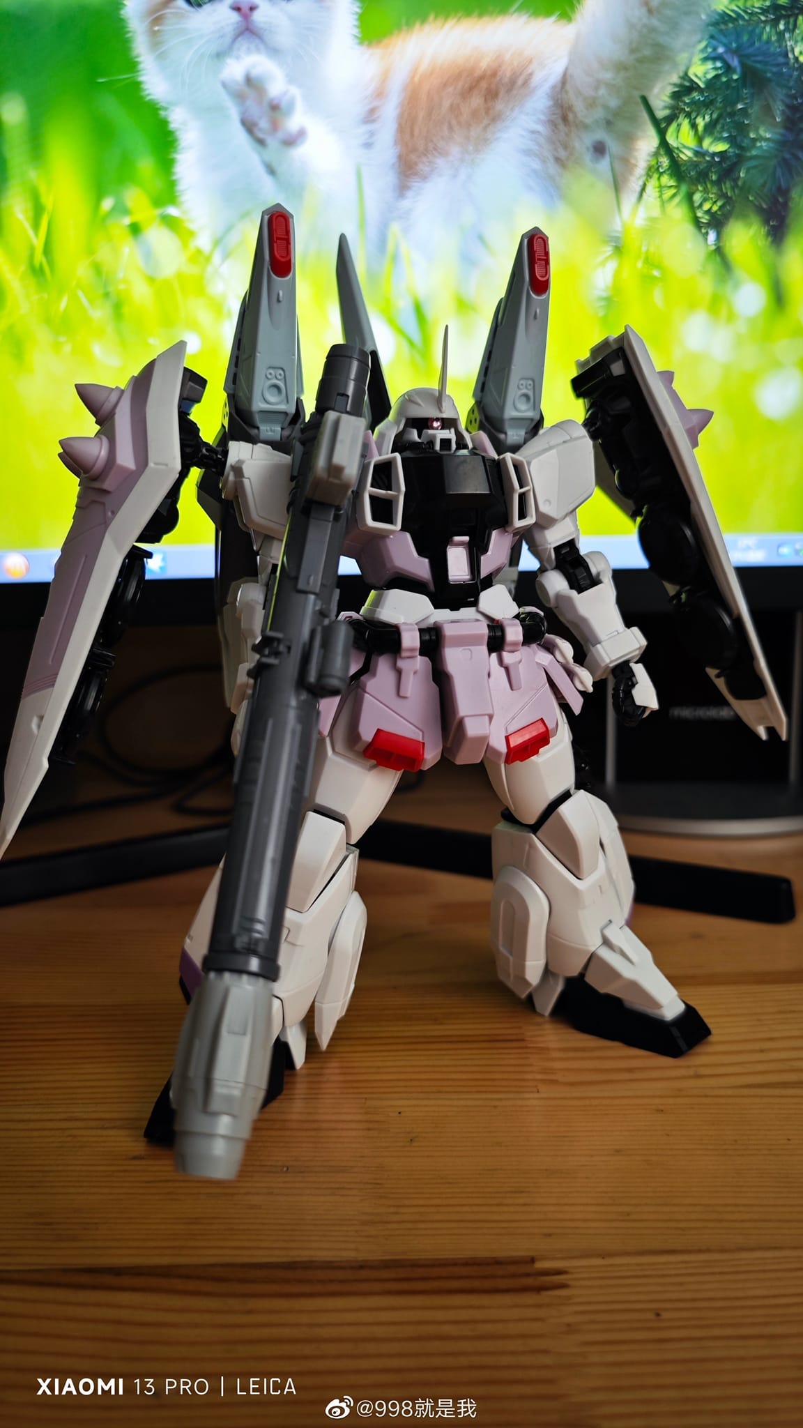 Rehaize 1/144 scale Wildfire model update