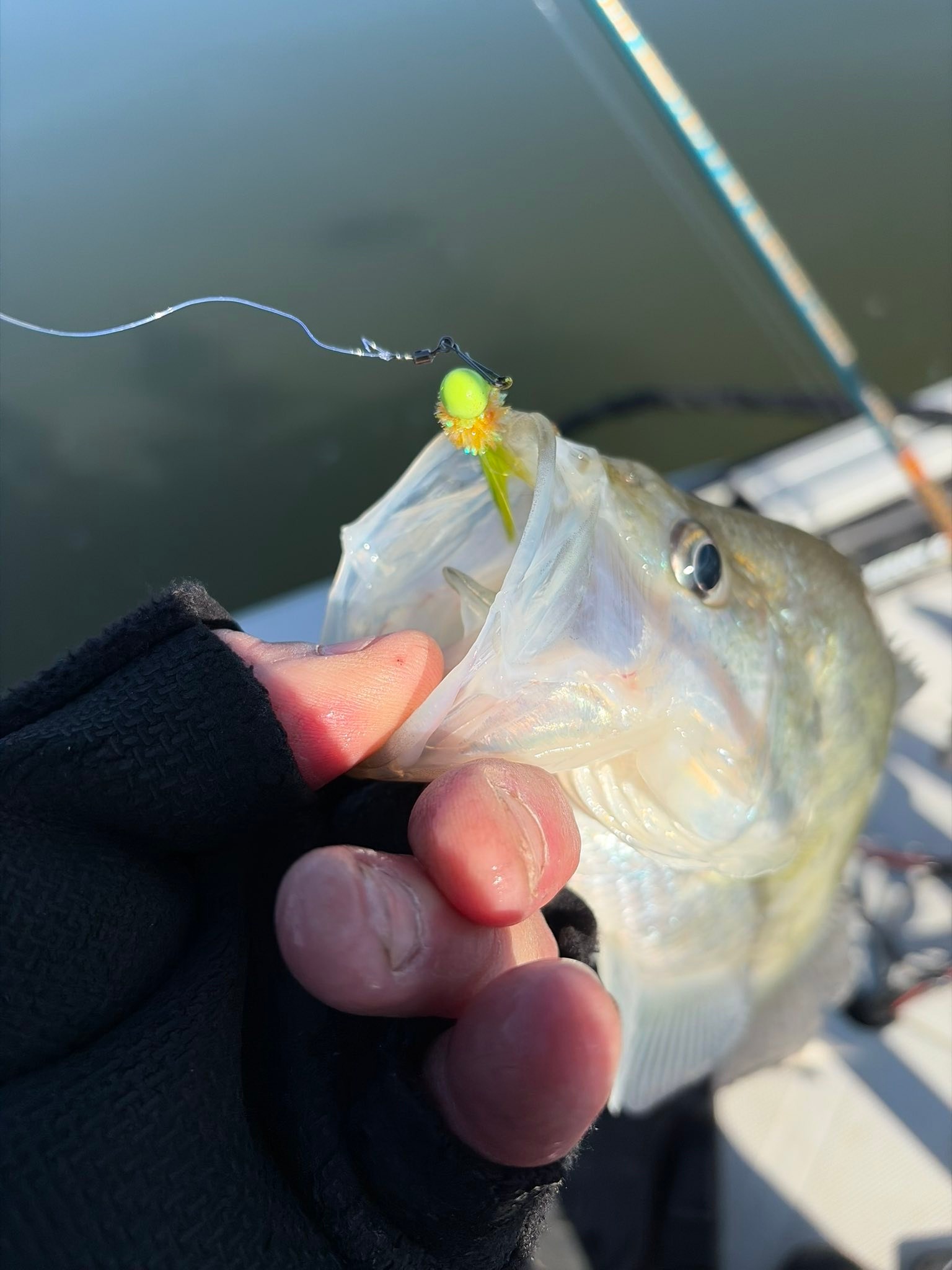 catching fish with hair lure Dude Jigs How to catch estuary species