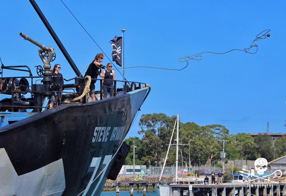 #FiveFastFacts: Ropes, Lines and... - Sea Shepherd Store