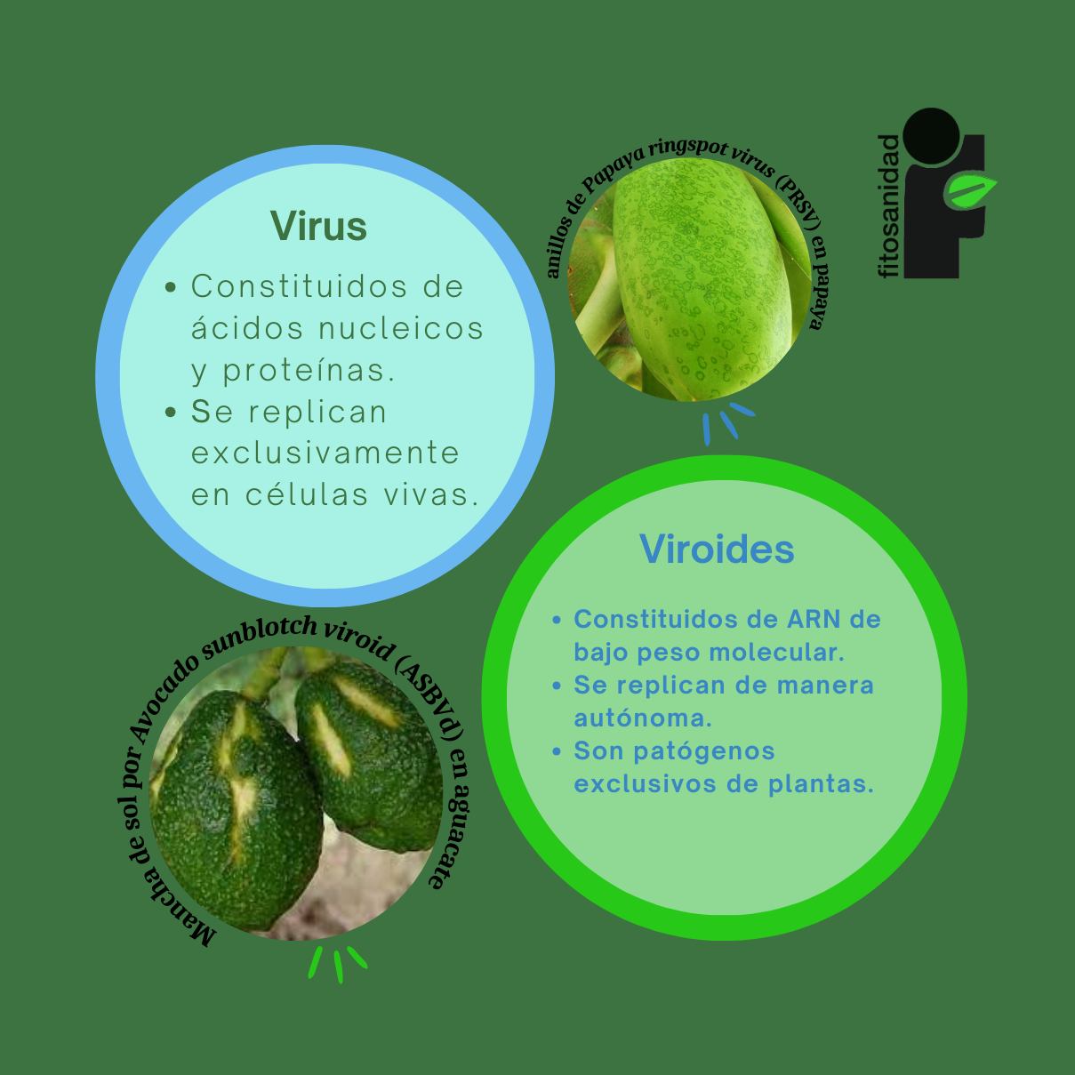 Los virus y viroides son considerados... - Fitosanidad Colpos