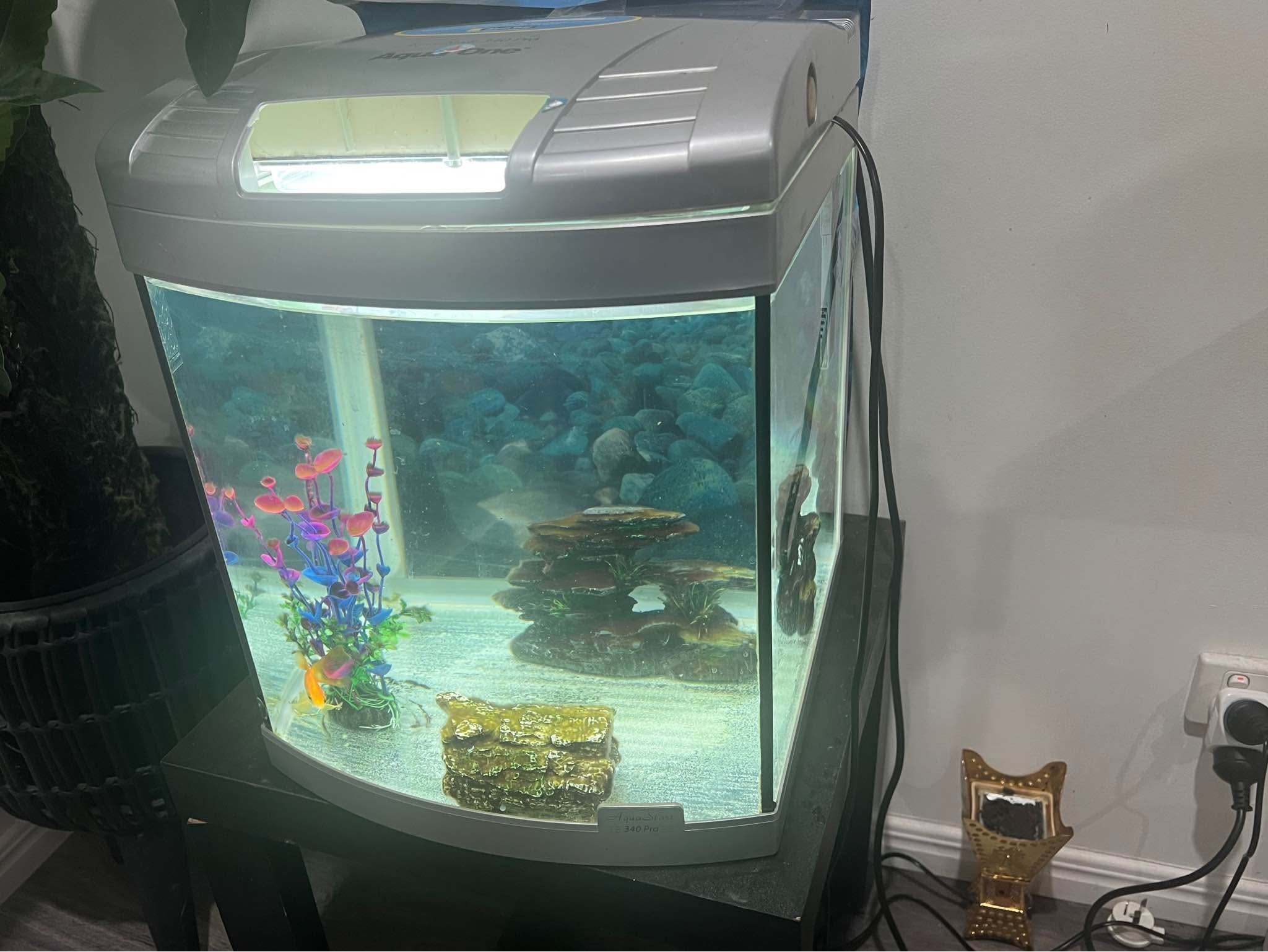 Fish tank aquarium Aqua One Start 340 Pro With filter and decoration ...