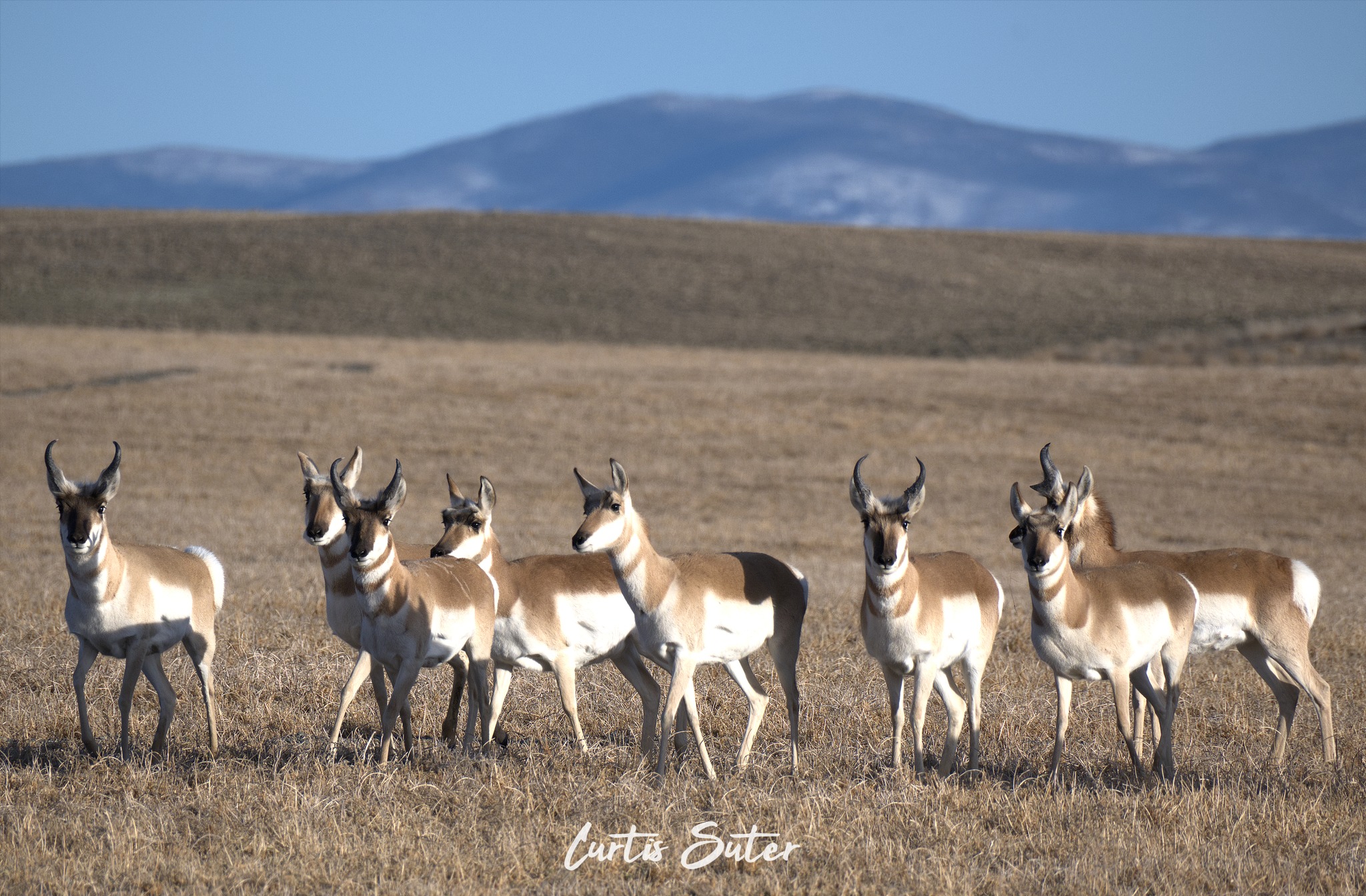 First shots with my new Nikon 28-400mm lens (Z50II).