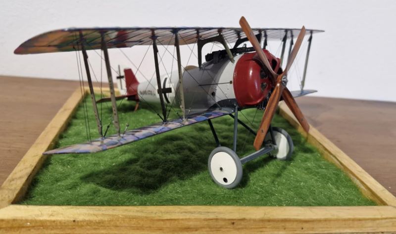 Pfalz D.VIII model kit review