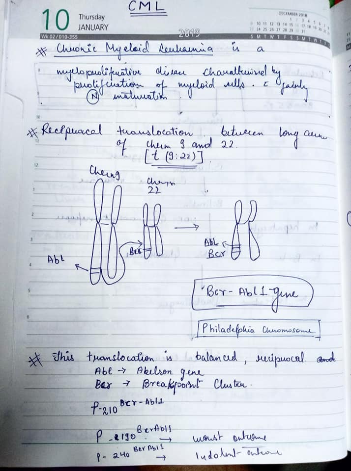 MBBS Notes, Books, Mnemonics, Etc. | Delhi