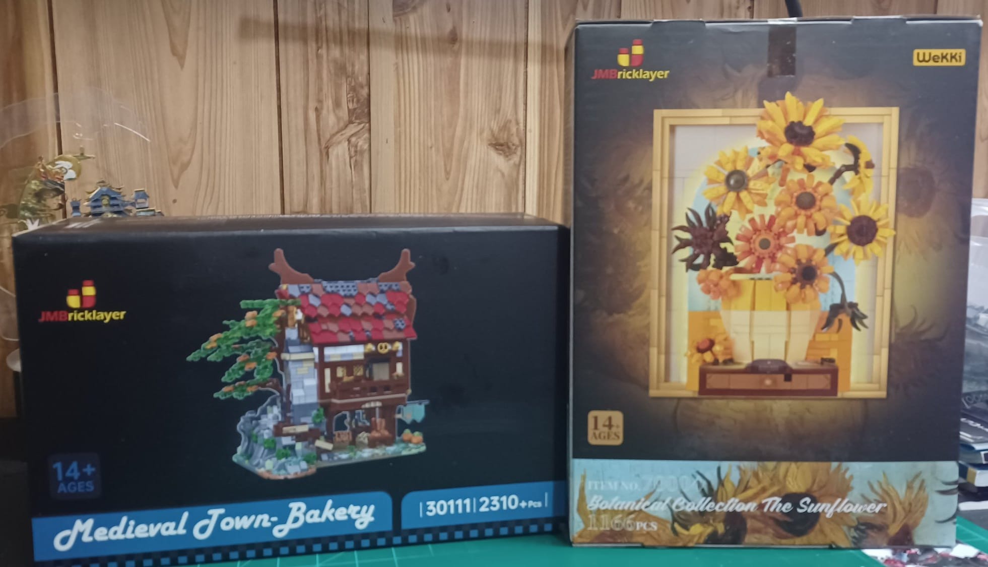 Kit Construction JMBricklayer Succulentes – 12 Variétés, Décoration Intérieur Sans Entretien, Dès 8 Ans