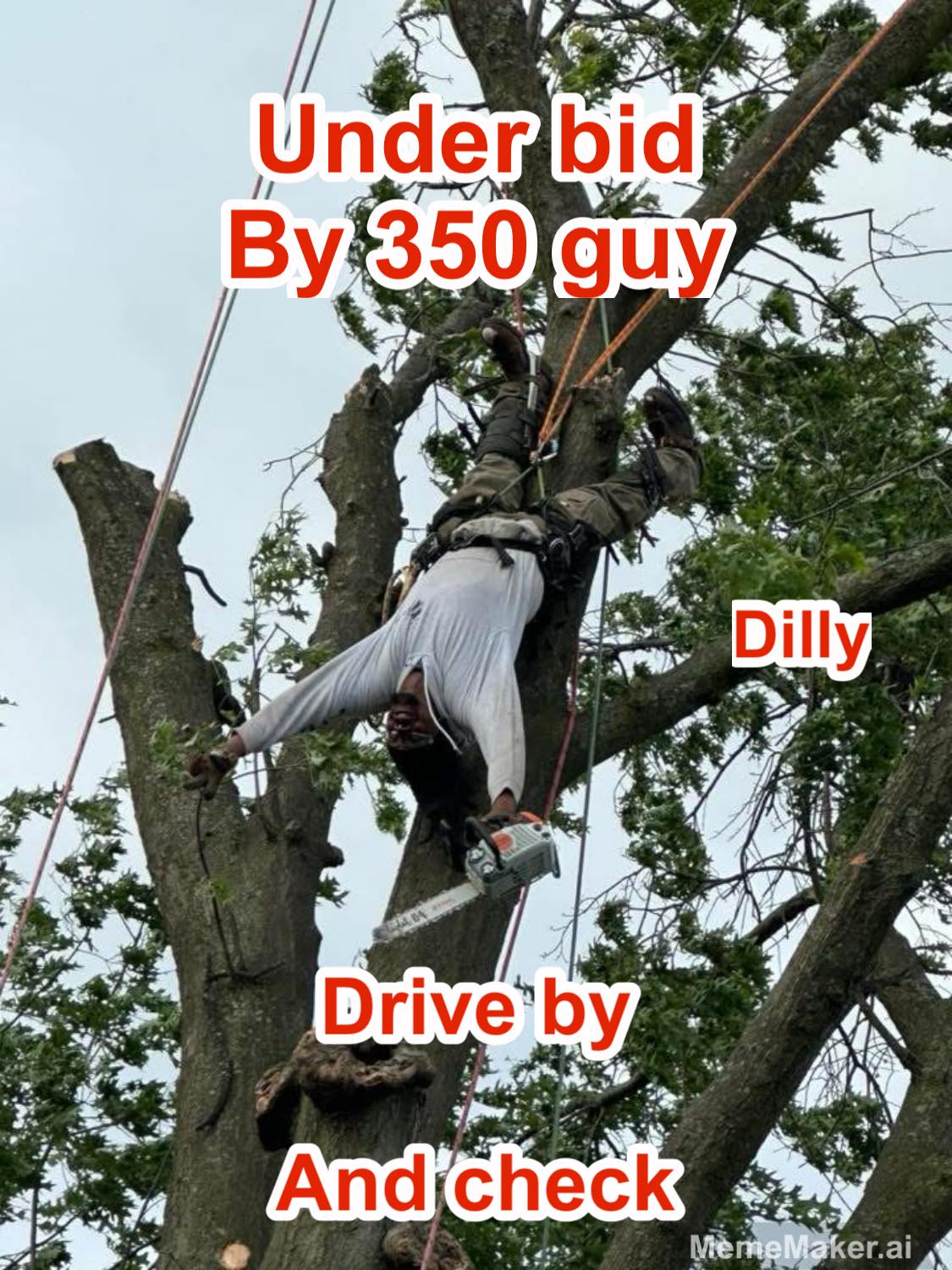 Have you ever been underbid by a tree fiddy guy | Facebook