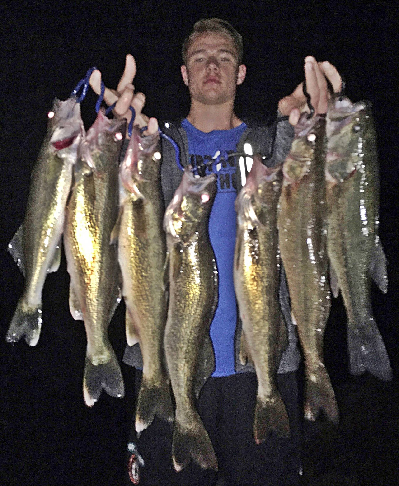 dale hollow lake fishing lures for walleye Bandit Deep Glow 4 3/4 inch Trolling Plug  Discount Tackle have for float n fly fans KY / TN FISHING REPORT