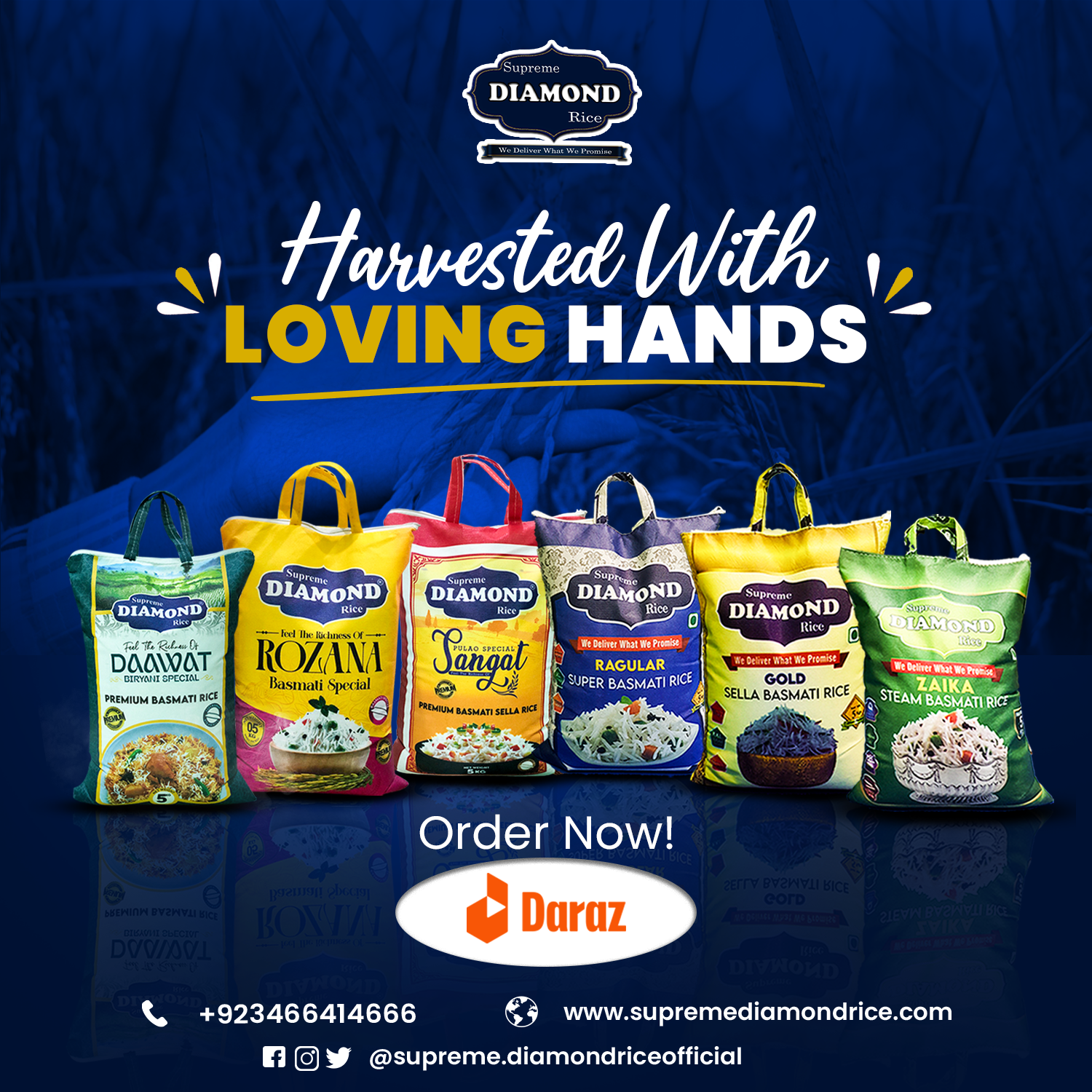 Supreme Diamond Rice | Daska