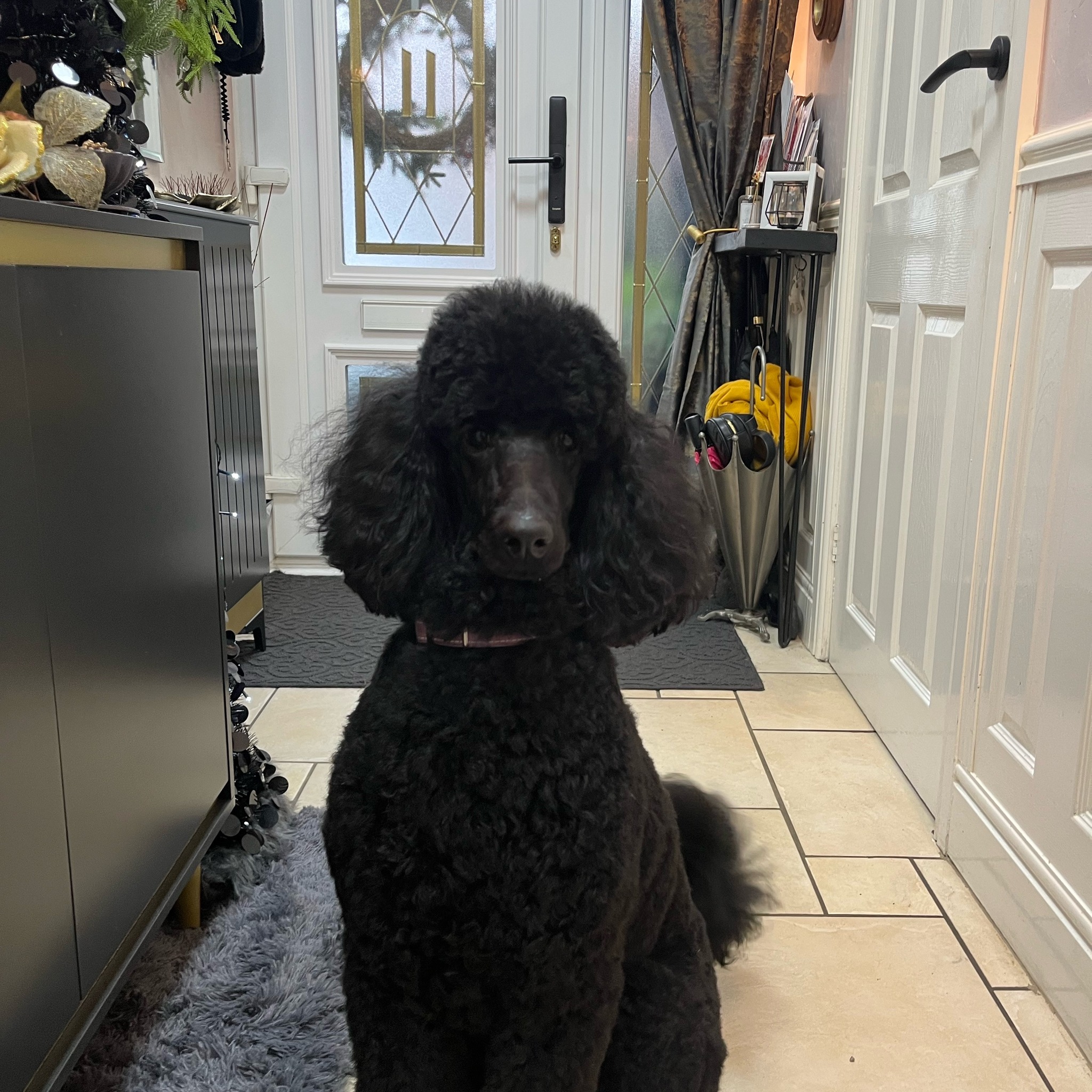 Princess Ebony Rose is 2 today 🎉 | Facebook