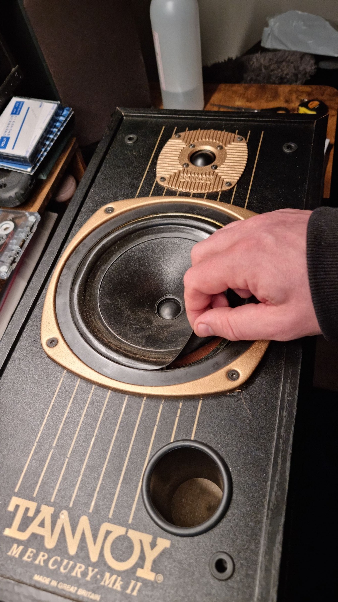 I have a pair of Tannoy Mercury mx2 speakers, and the tweeter