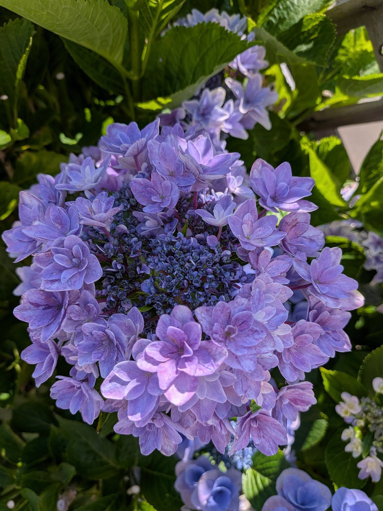 おはようございます🤗🌼💖