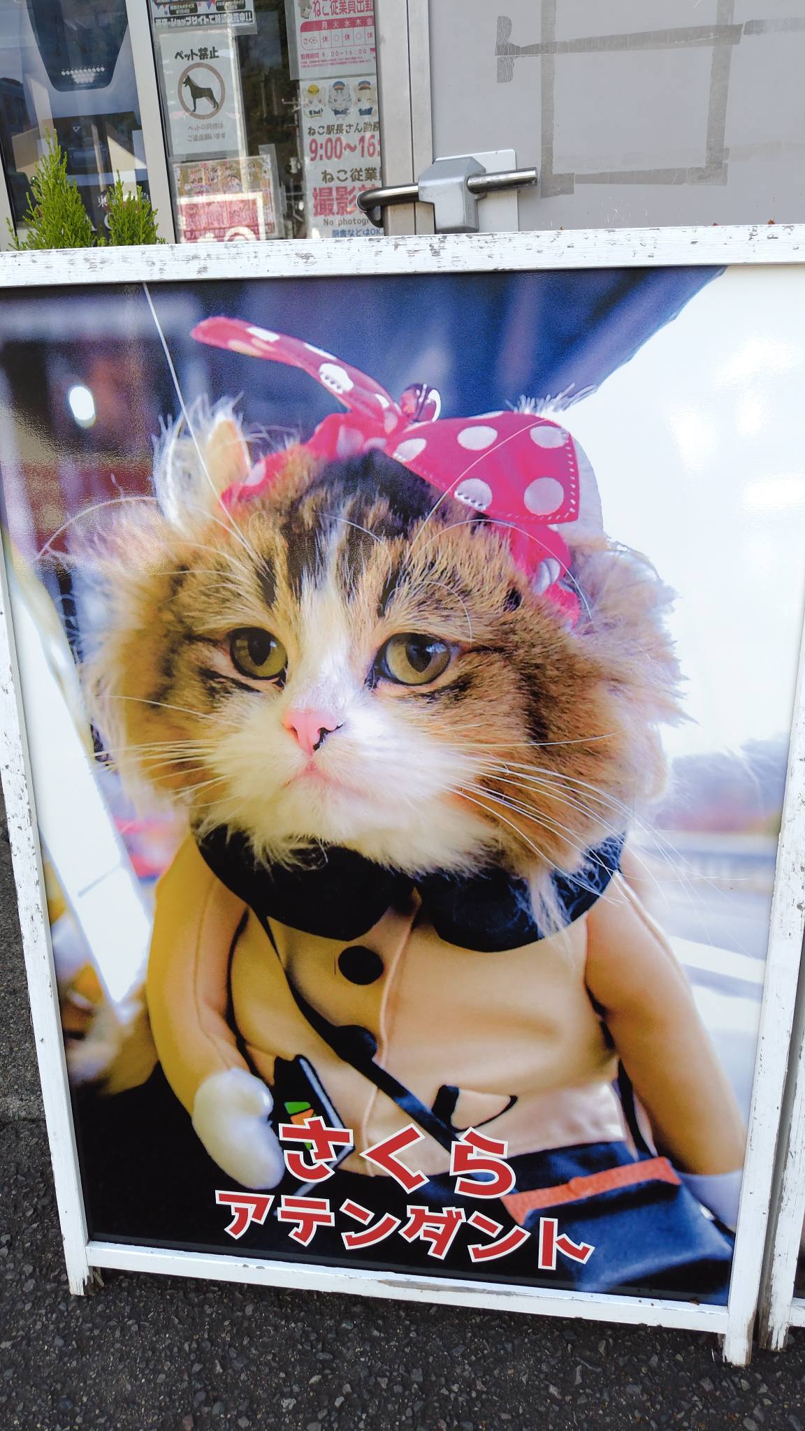 2 苗 اا 工 c ٢ D39E OKUDA OKUDACYCL CYCL 8-83 CATCAFE CAFE CAT
