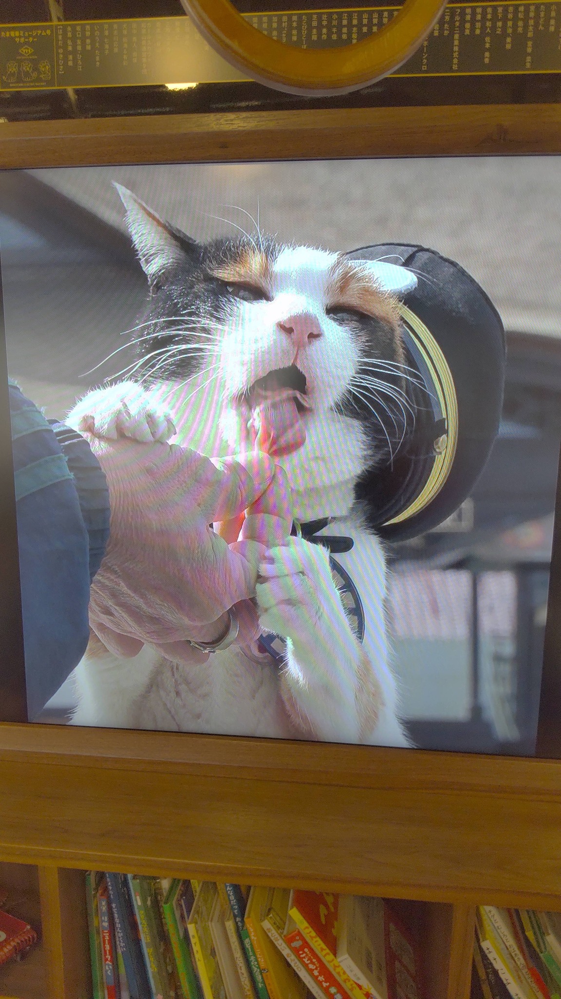 2 苗 اا 工 c ٢ D39E OKUDA OKUDACYCL CYCL 8-83 CATCAFE CAFE CAT