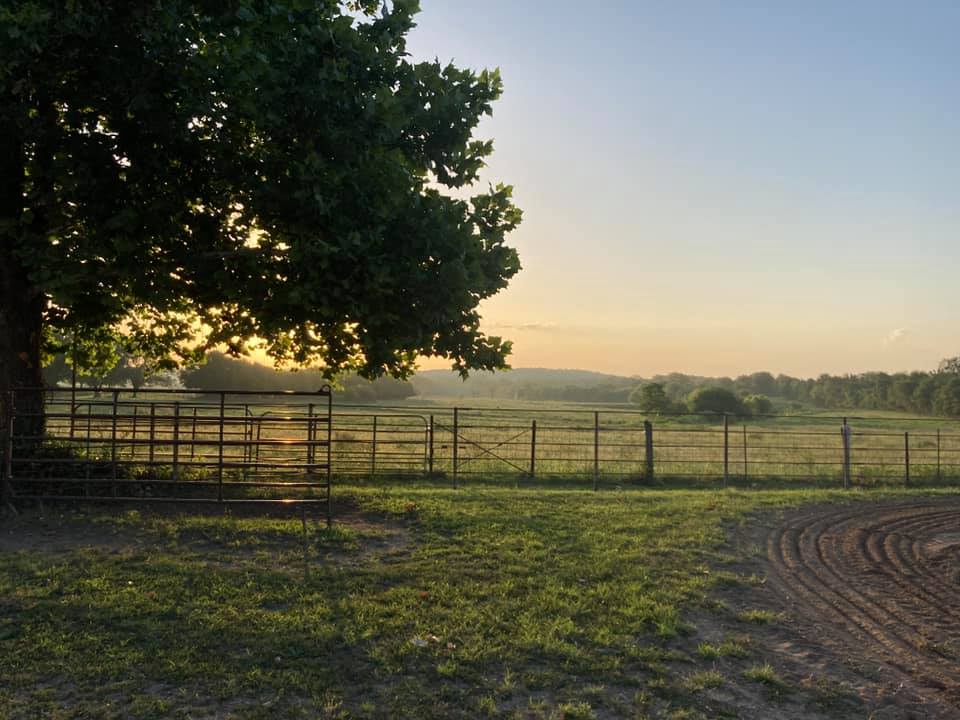 Markway Ranch - Good morning from Markway Ranch, early... | Facebook