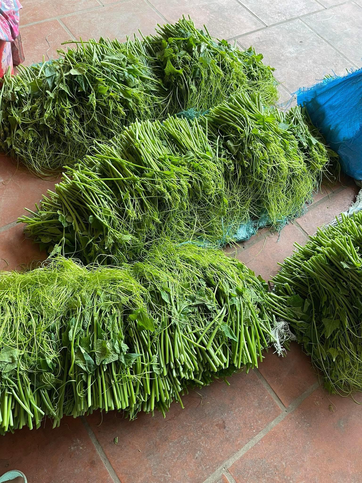 Chợ Buôn Rau Củ Quả Các Vùng Miền | Facebook