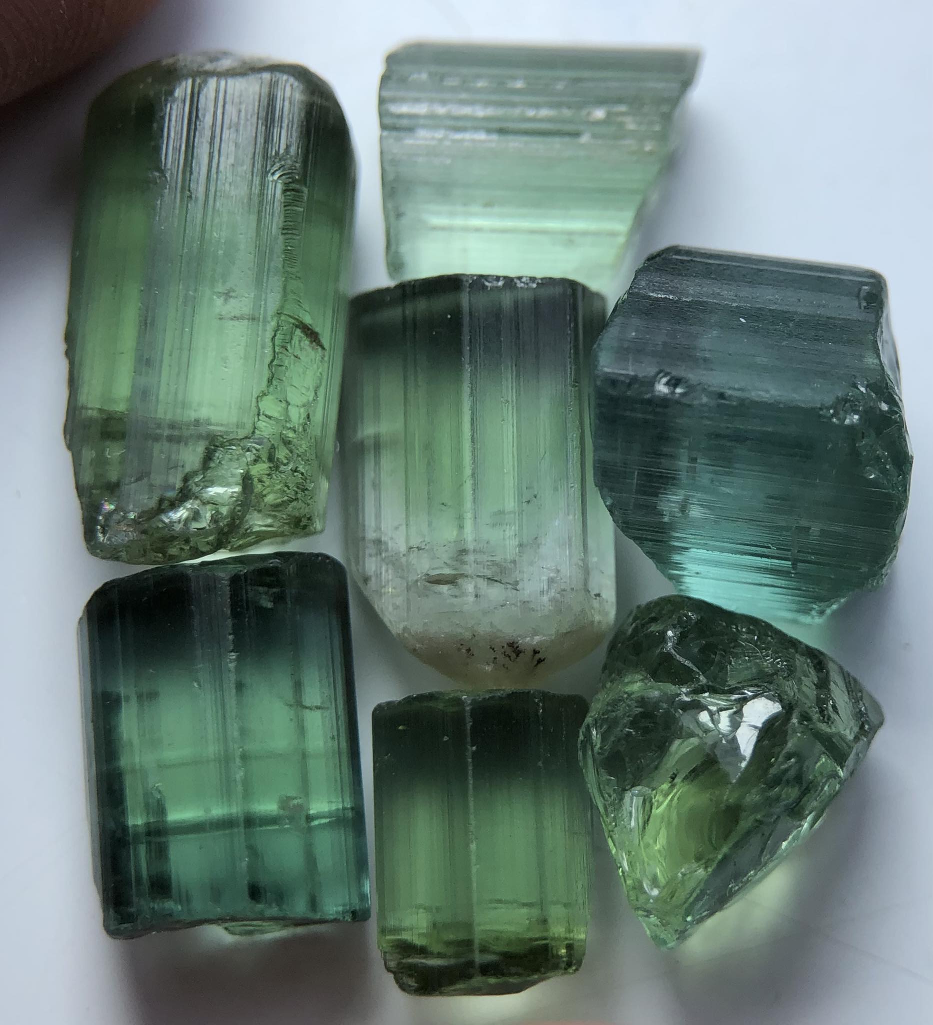 Tourmaline Bicolore 24,90 Ct - Qualité AAA, Couleur Vert/rouge, Pierre Naturelle