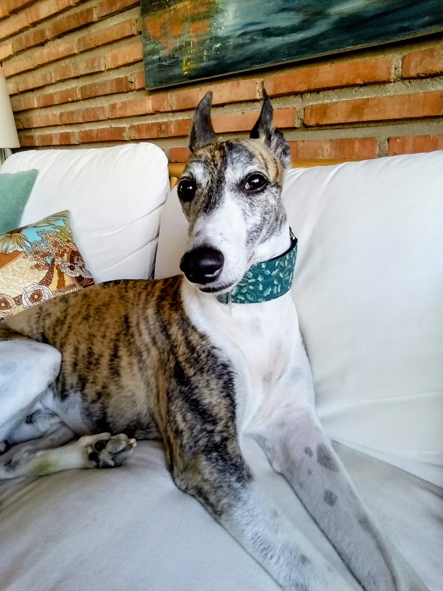 Pendentif Chien Lévrier Whippet 3D Plaqué Or - Neuf Avec étiquettes - Unisexe