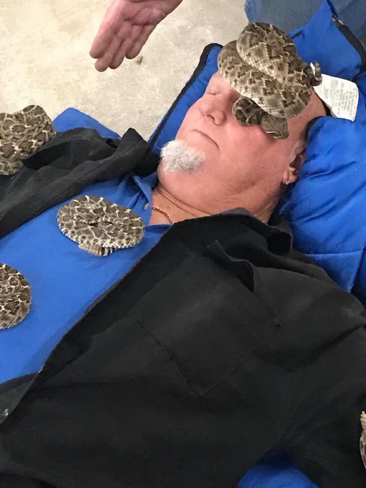 Sleeping on the job... - Jackie Bibby 