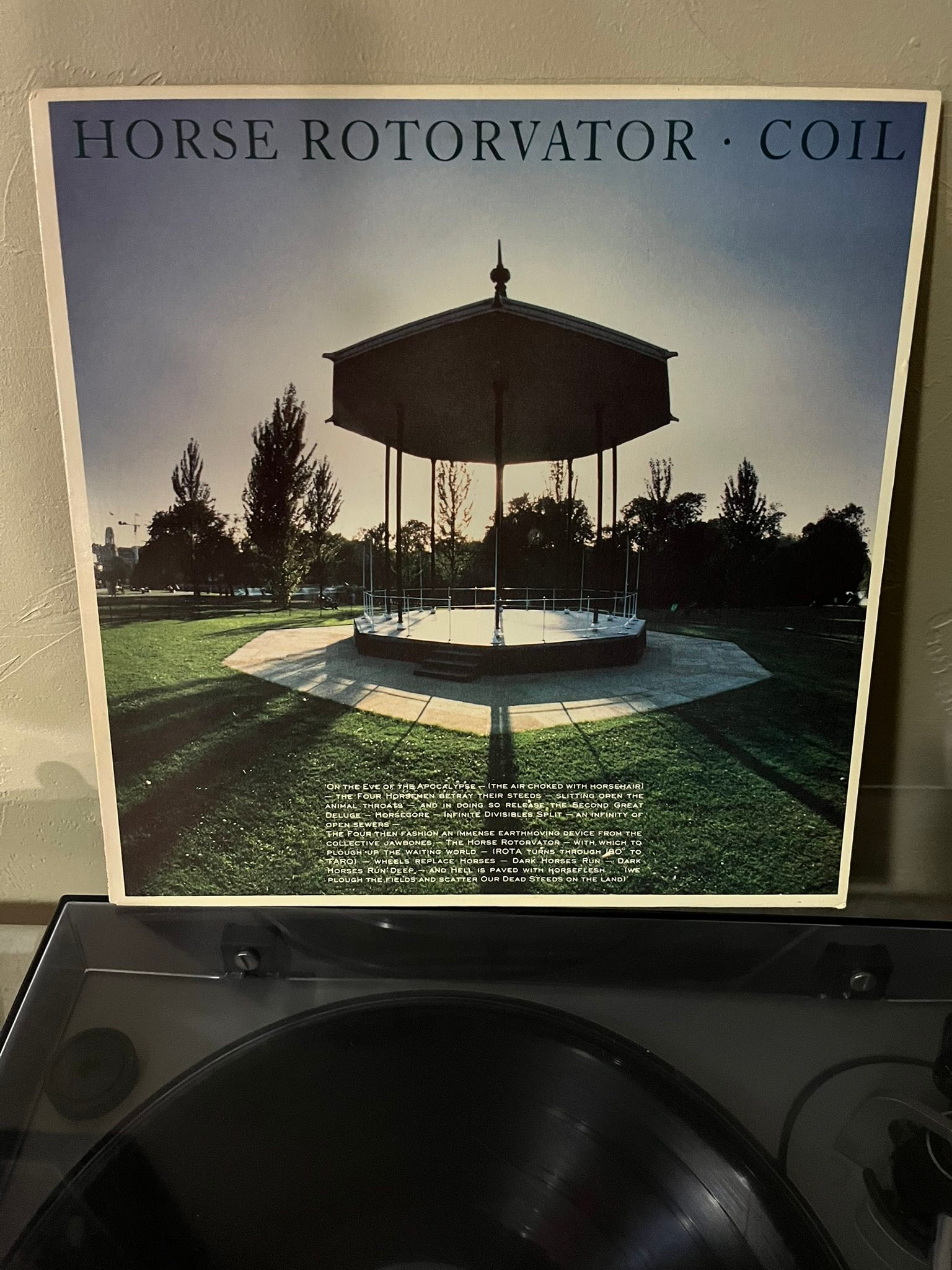 Coil Horse Rotorvator record found at Half Price Books