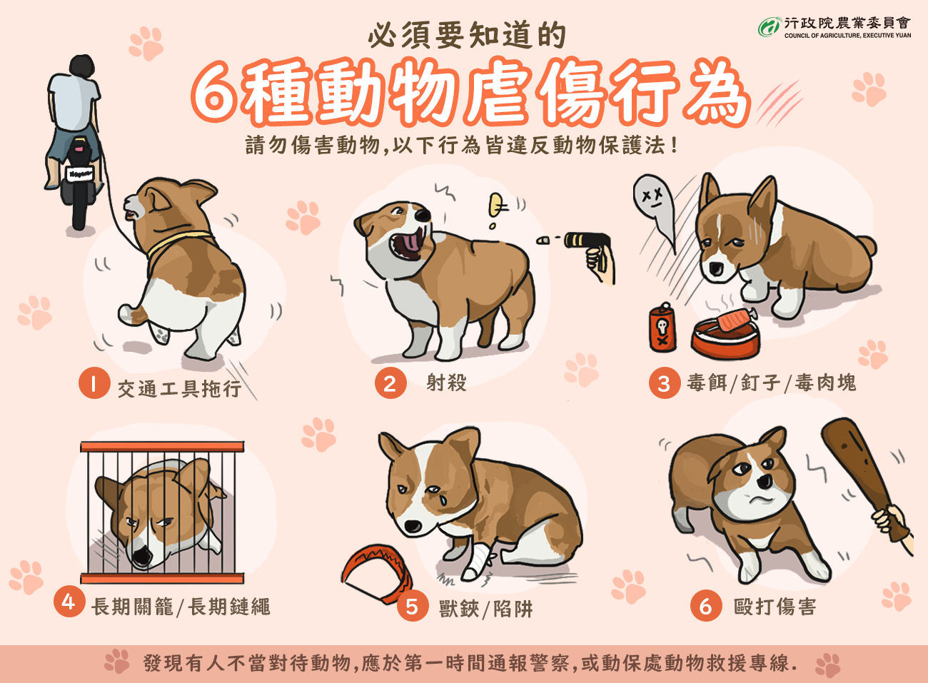 行政院農業委員會 你知道哪些行為屬於虐待動物違反動保法嗎 今天派出我們的柯基大大來做示範 動物保護法保障犬 貓及其他人為飼養或管領的脊椎 動物任何不當飼養及肢體 精神上的傷害 與以下行為都毋湯喔 交通工具拖行