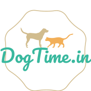 DogTime.in