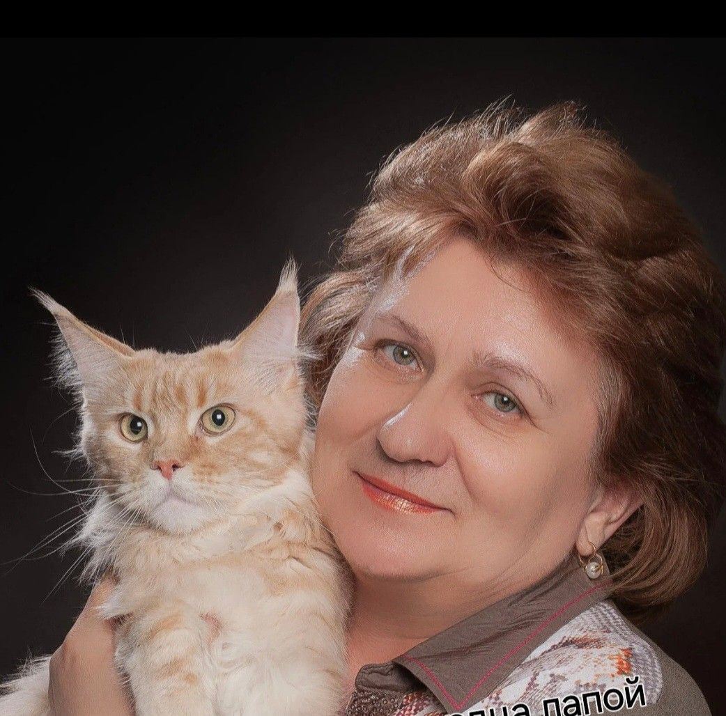 Babby Kora Charodei Forest 🌺6weeks #mainecoon_charodeiforest #MCO # ...