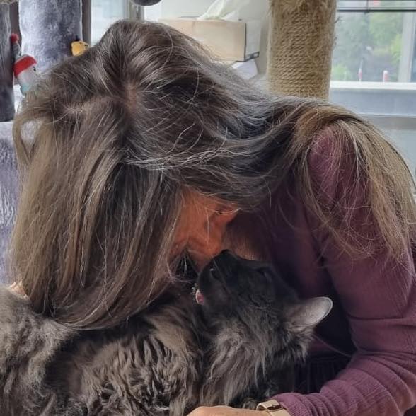 Nos chats âgés (plus de 17 ans) | Bonjour à tous, pour le mois d'avril ...