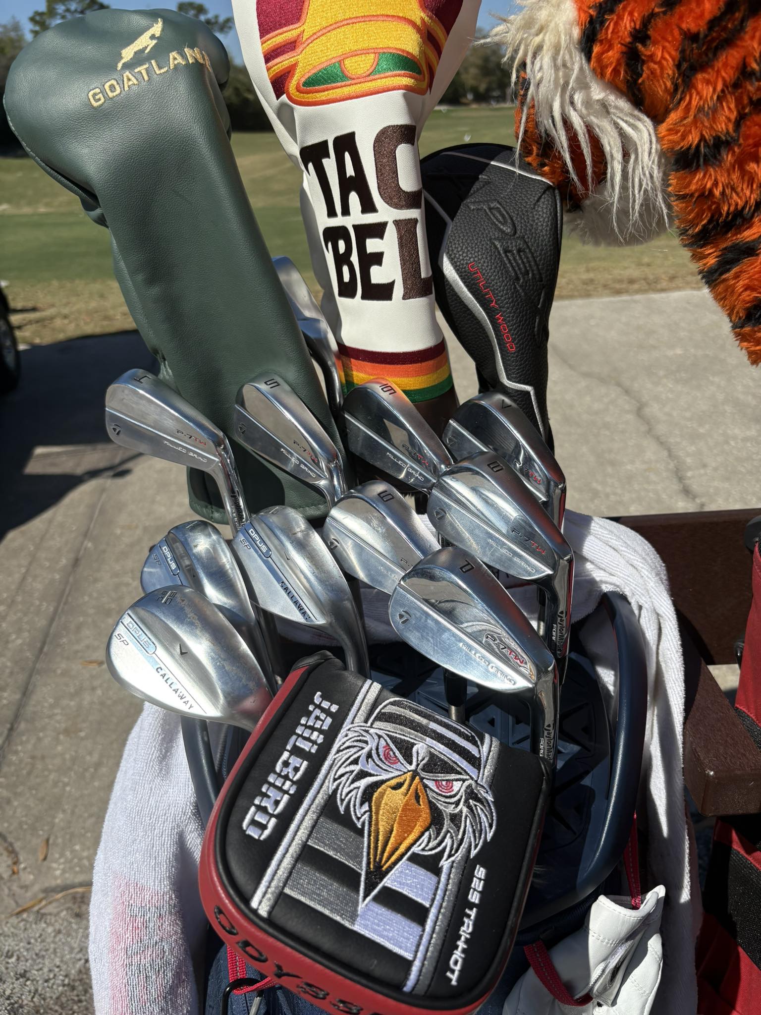 Golfer's set-up with Callaway, Taylormade, and Srixon clubs