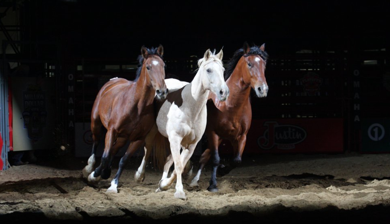 Omaha River City Rodeo 2024