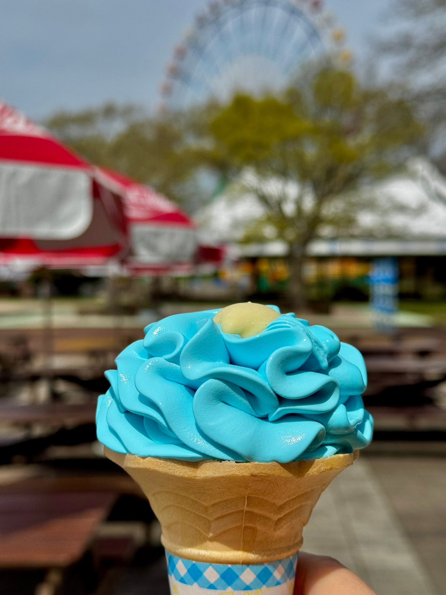 ひたち海浜公園にて。ネモフィラソフト。650円。 ひたち海浜公園の中に
