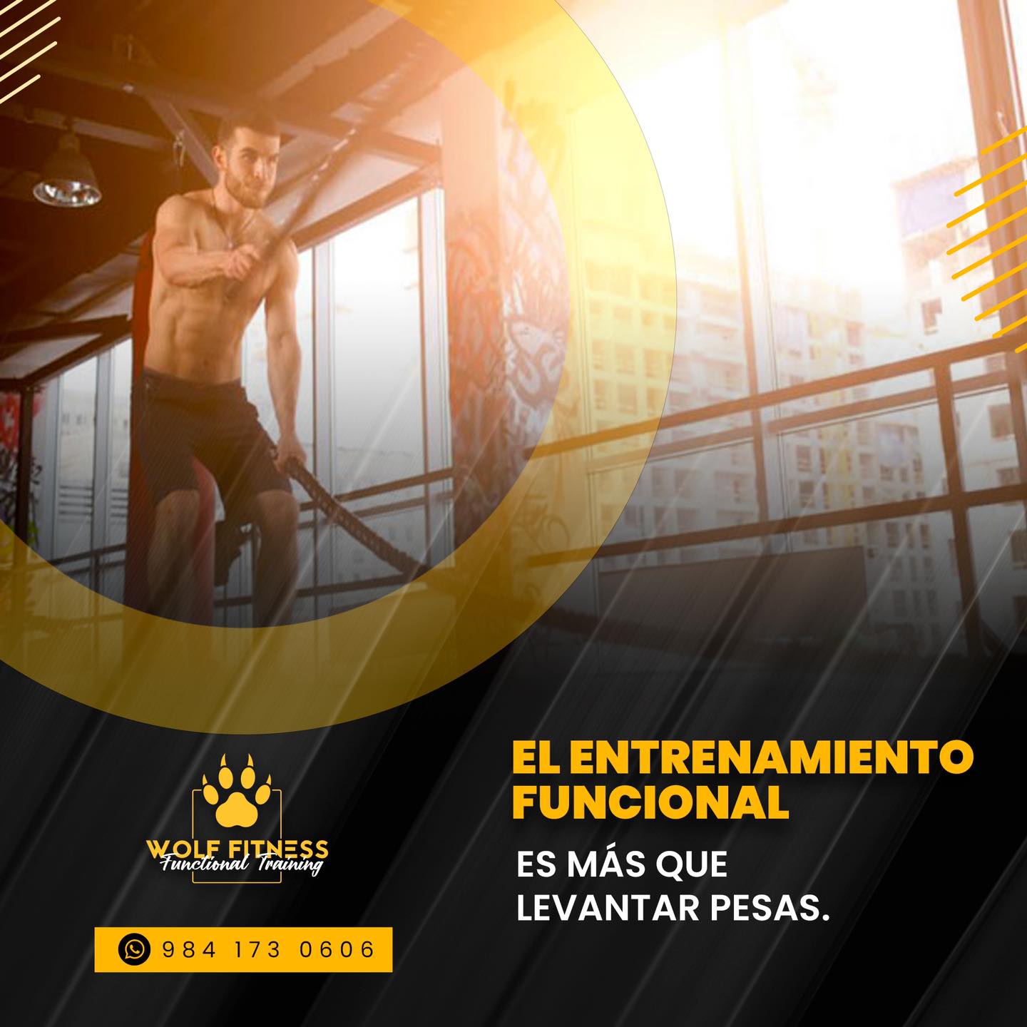 Wolf - 😌Es fundamental proponerse objetivos realistas y luchar por ...