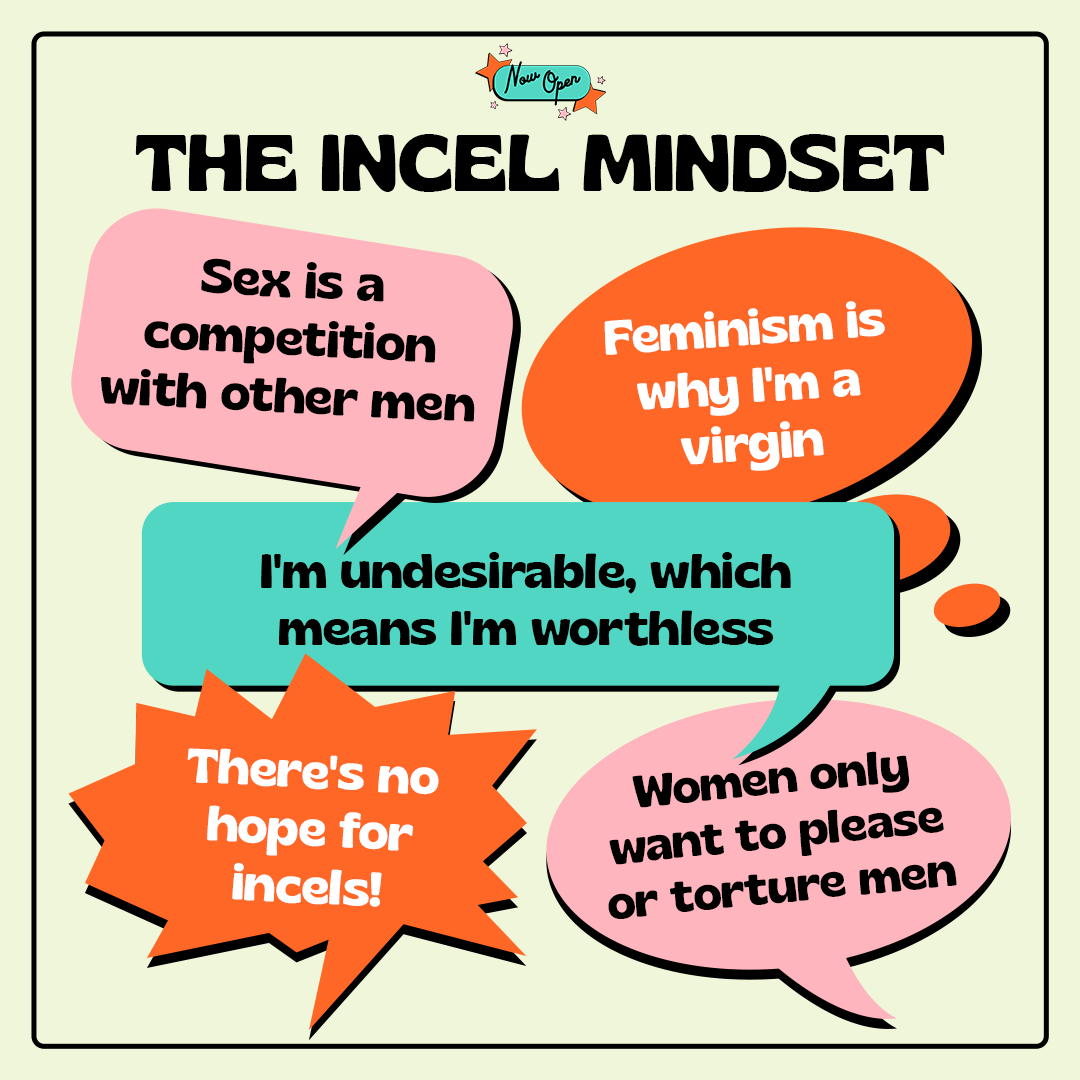 Now - Ever wondered what you might find when you pick apart an incel’s ...