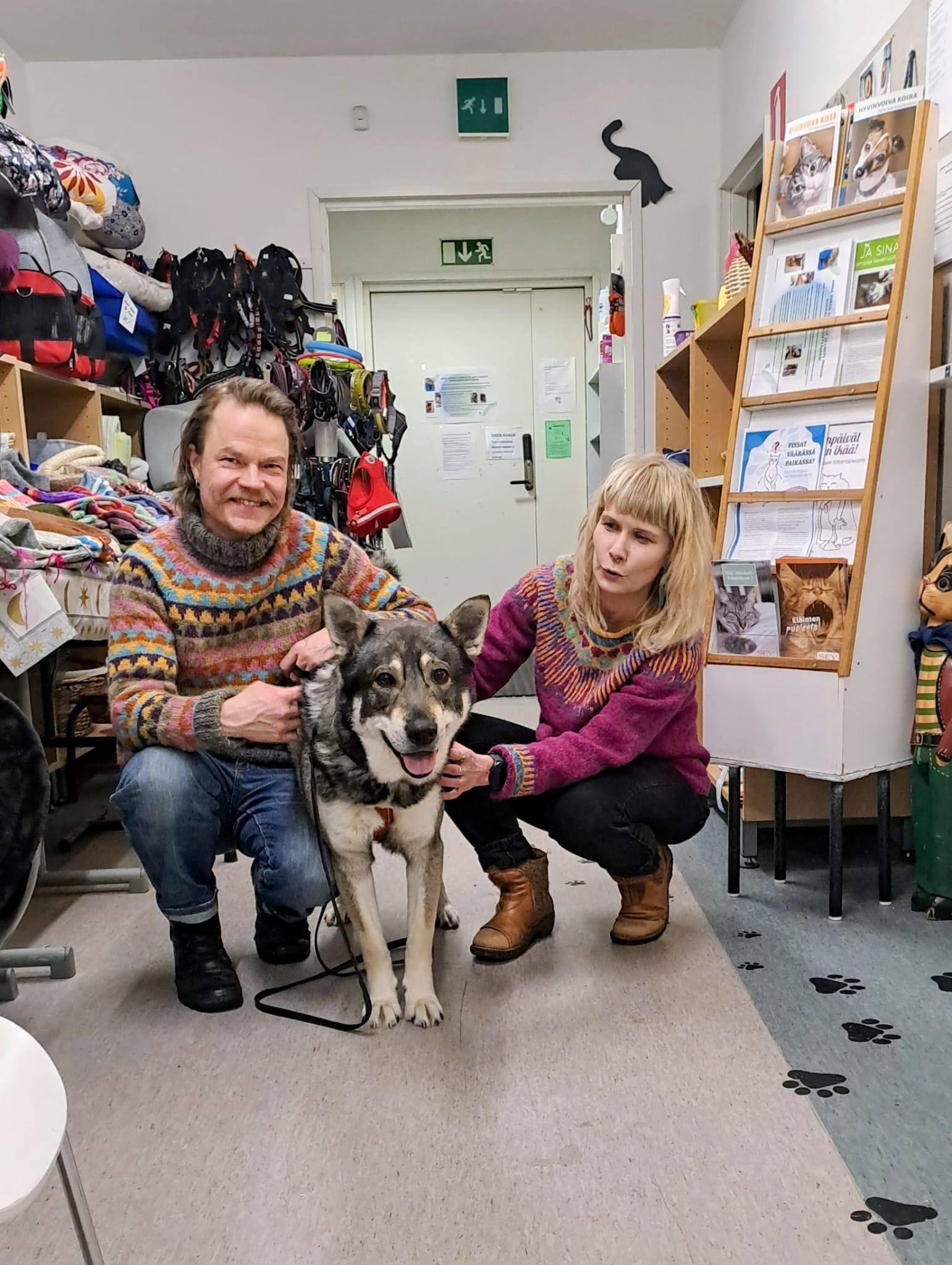 Päijät-Hämeen eläinsuojeluyhdistys ry. | Hienoja koira uutisia🐶🥰 | Facebook