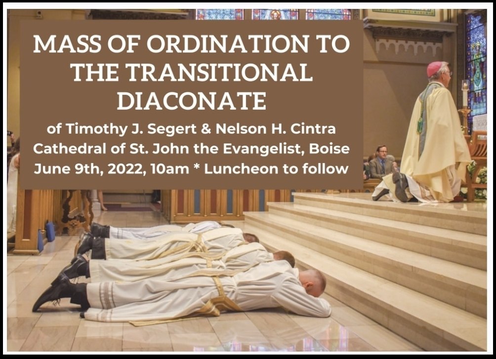 Congratulations to Tim Segert... - St Mark's Catholic Church | Facebook