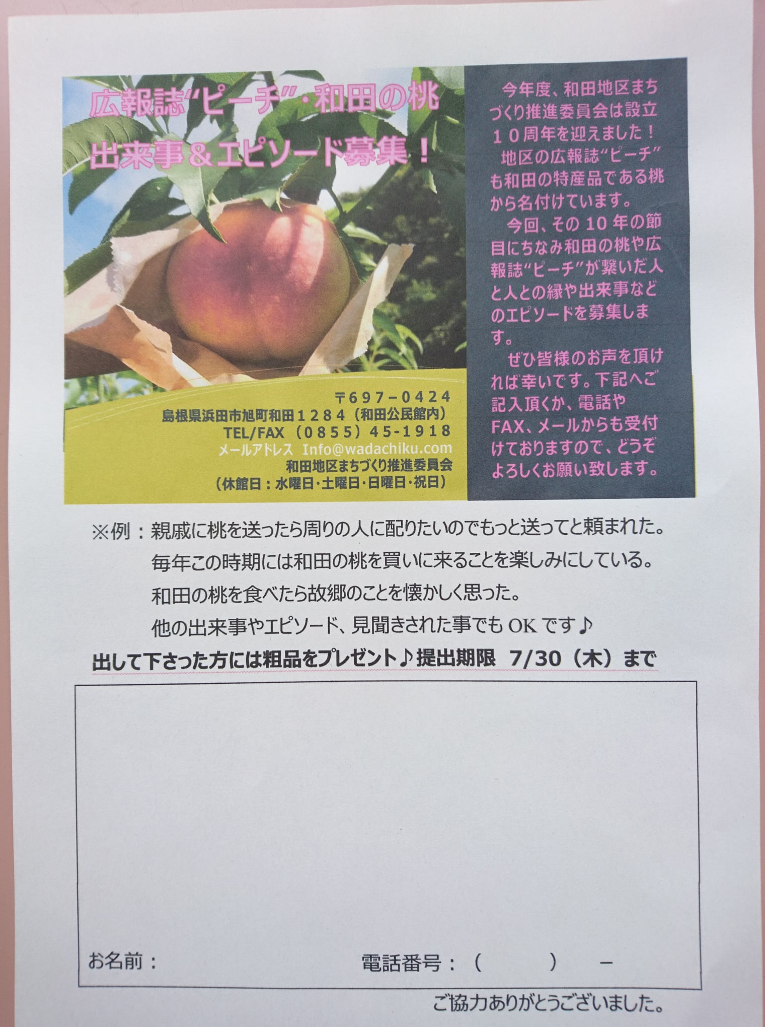 和田地区まちづくり推進委員会 今年度 和田地区まちづくり推進委員会は設立10周年を迎えました 地区の広報誌 ピーチ も和田の特産品である 和田の桃 から名付けています 今回 その10周年の節目にちなみ和田の桃や広報誌 ピーチ が繋いだ人と人との縁や出来事など